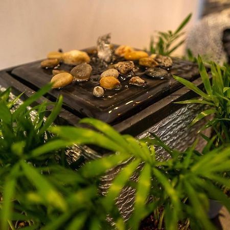 Apartment Mimoza 锡吉什瓦拉 外观 照片